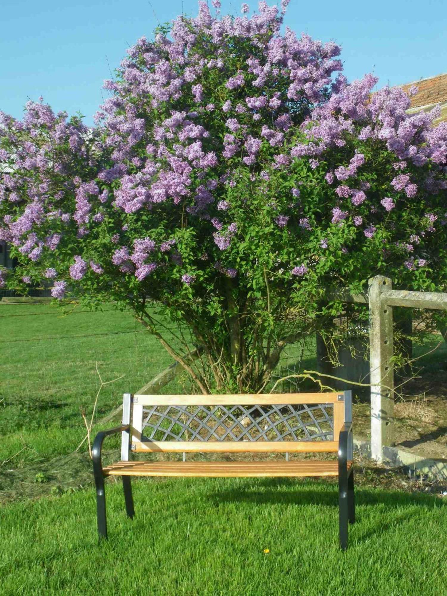 Grand Gite A La Campagne Couvains  Extérieur photo